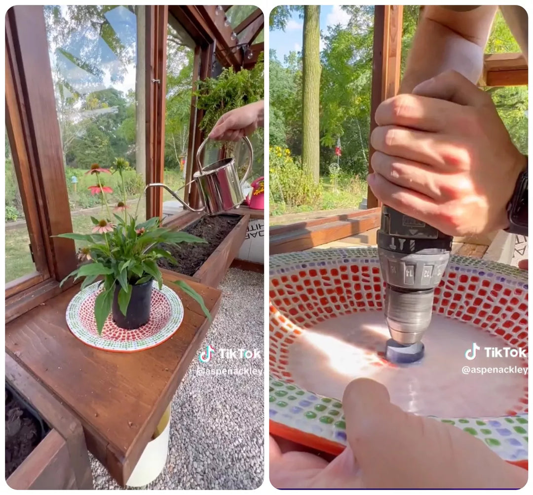 This ‘Plant Toilet’ Hack Makes Watering Plants Annoyingly Easy