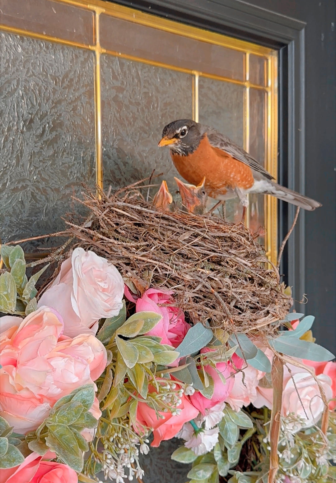 Family's Effort to Protect Robin Who Built Nest on Their Door Wreath Is Applause-Worthy